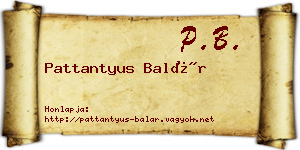 Pattantyus Balár névjegykártya